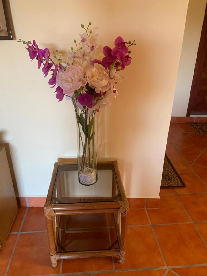 Casa Fraile San Miguel Apartment San Miguel de Allende Exterior foto
